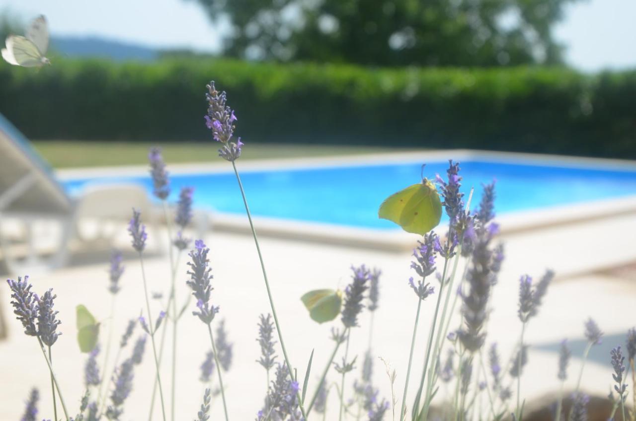Villa Fragola - Holiday House With Large Garden Tinjan Exterior photo